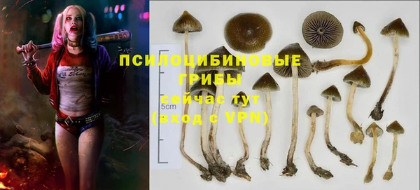 MESCALINE Абинск
