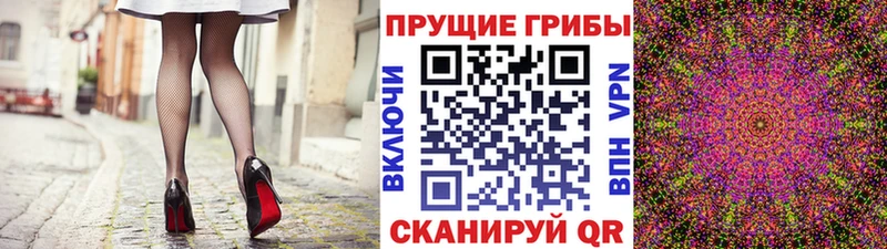 Псилоцибиновые грибы ЛСД Азнакаево