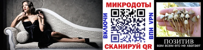Псилоцибиновые грибы Psilocybe Азнакаево